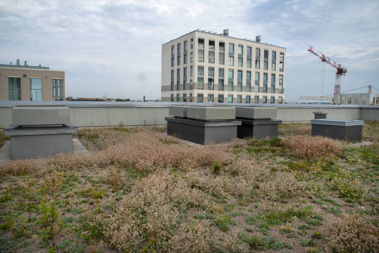 Green roof