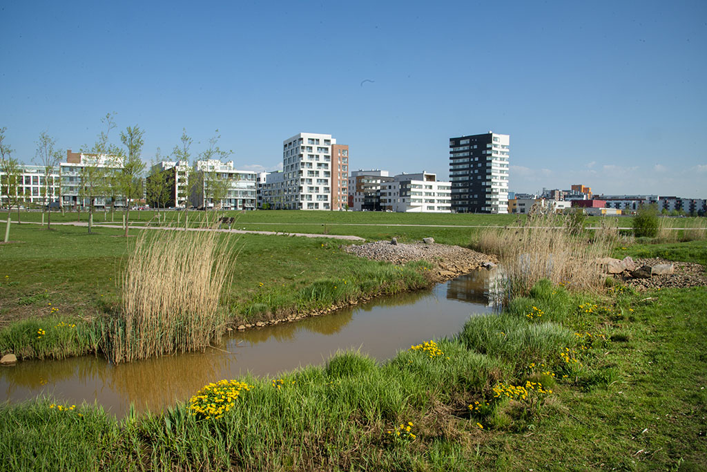 Keväinen puisto