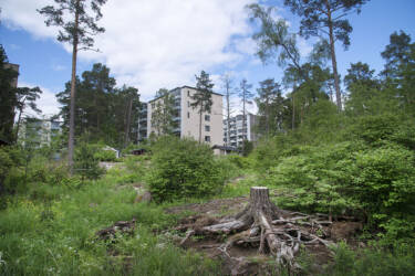Luontokaupunki