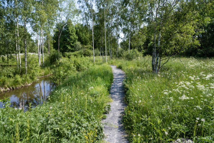 Niittypolku