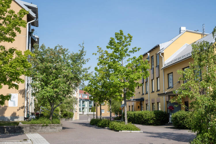Kaupunkipuita